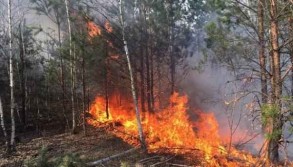 Over 40% of active wildfires localized in western Siberia, Emergencies Ministry says