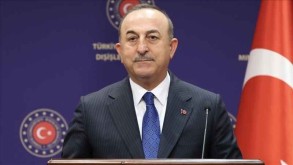 Turkish, Russian FMs discuss regional processes