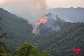 Fires completely extinguished in Azerbaijan's Gabala and Khacmaz