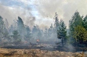 В северном регионе страны полностью потушены все пожары - ВИДЕО