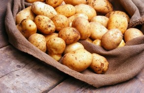 Азербайджанский картофель будет продаваться в Европу