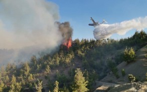 The spread of the fire in Zagatala to larger areas was prevented